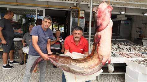 S­a­m­s­u­n­­d­a­ ­ü­ç­ ­d­e­v­ ­y­a­y­ı­n­ ­b­a­l­ı­ğ­ı­ ­y­a­k­a­l­a­n­d­ı­ ­-­ ­S­o­n­ ­D­a­k­i­k­a­ ­H­a­b­e­r­l­e­r­